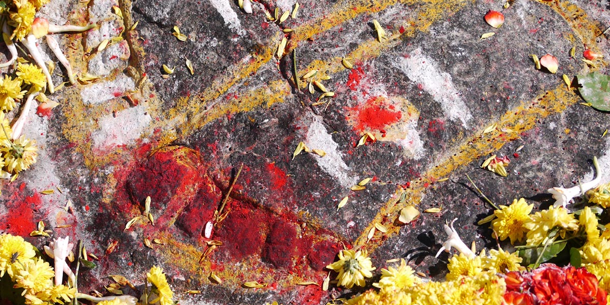 Grof Legacy Training